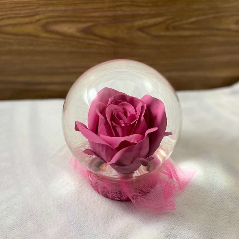 Forever Rose in Water Globe, Rose Globe, Colored Rose, Forever Rose