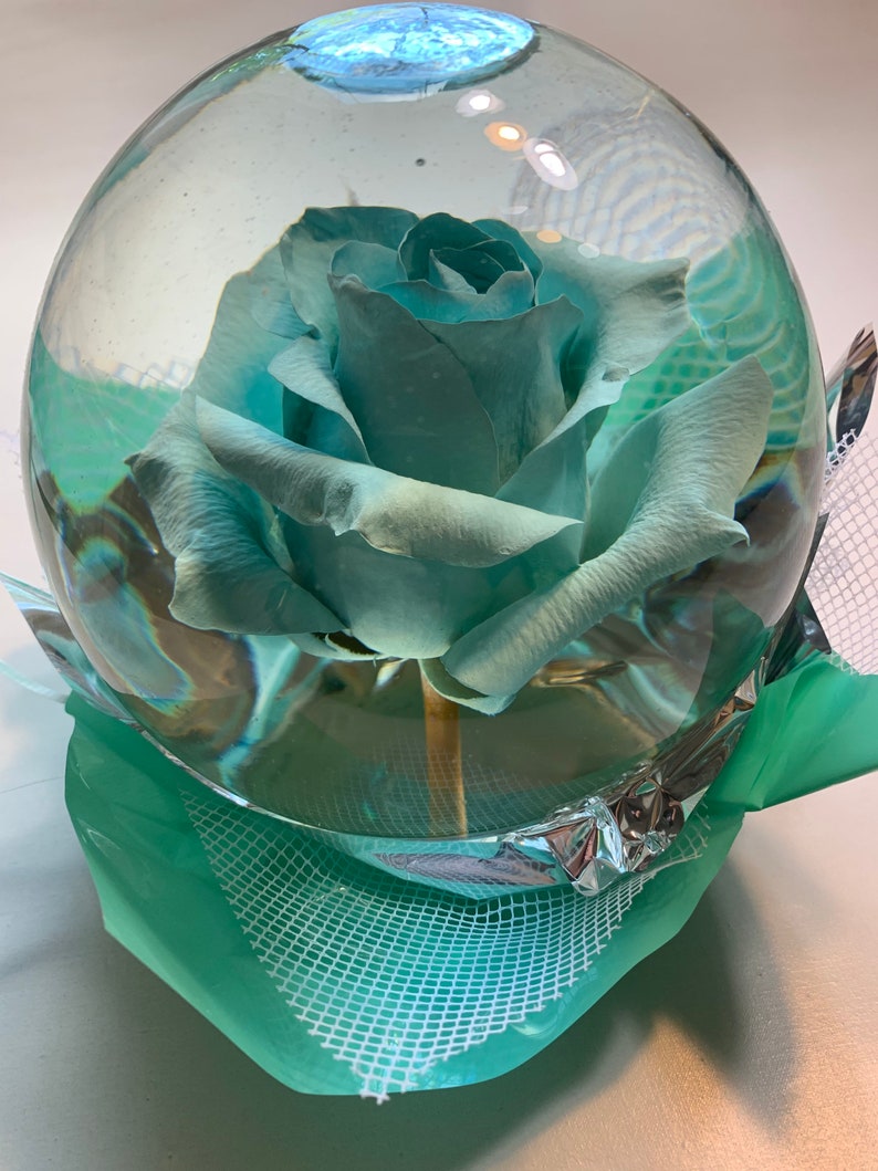 Real rose in globe preserved rose dried rose forever rose Etsy