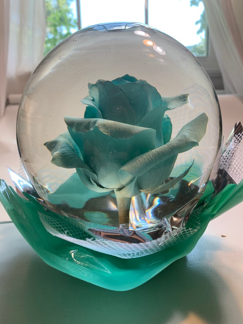 Real rose in globe preserved rose dried rose forever rose Etsy