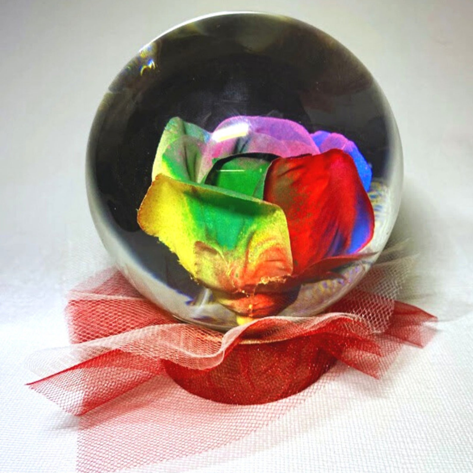 Rainbow Forever Rose in Water Globe Rose Globe Colored Rose Etsy