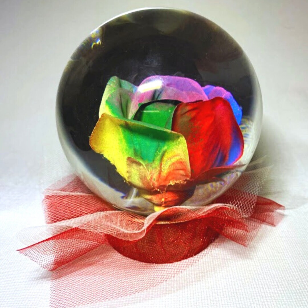 Rainbow Forever Rose in Water Globe Rose Globe Colored Rose Etsy