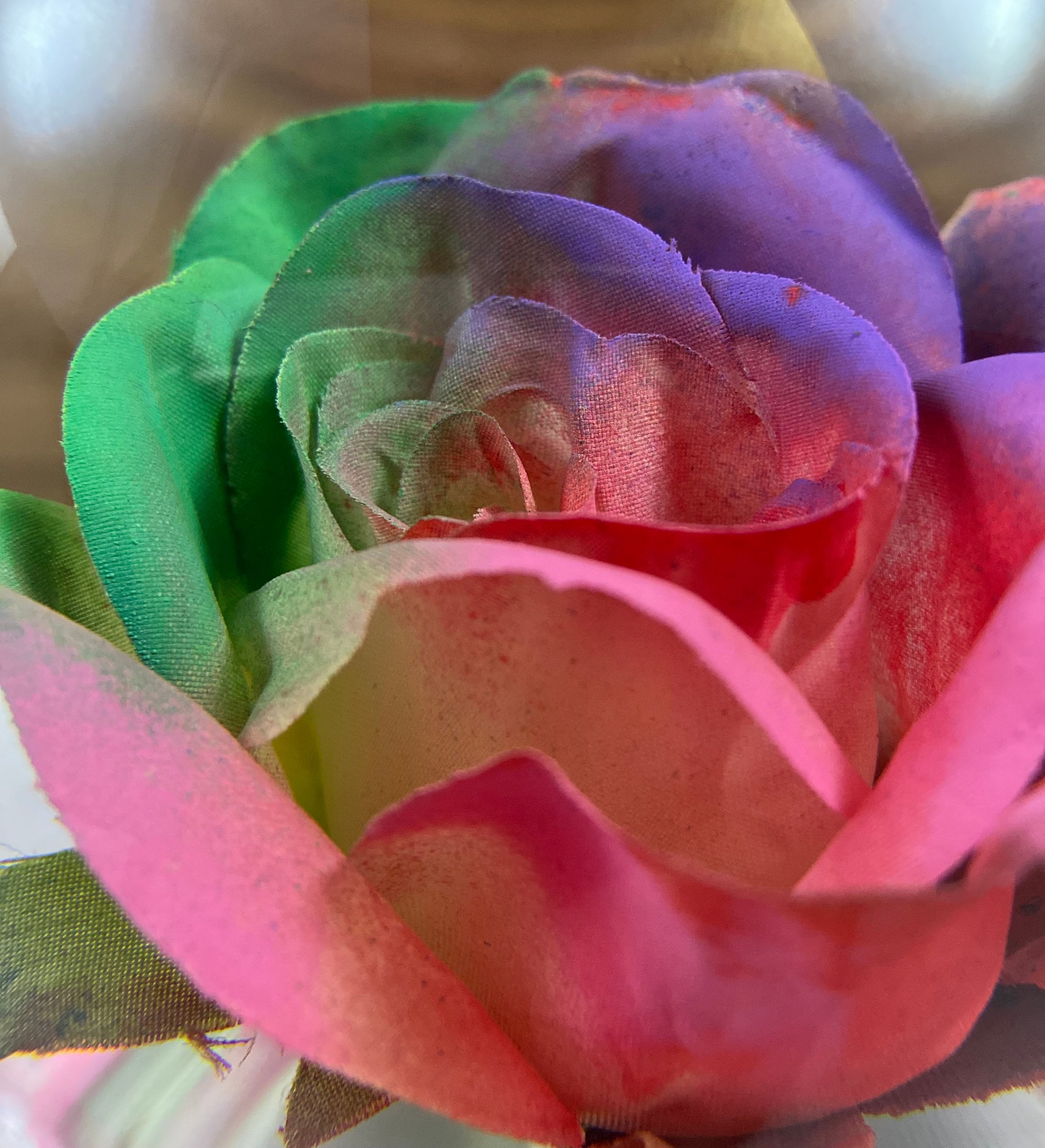 Rainbow Forever Rose in Water Globe, Rose Globe, Colored Rose, Forever