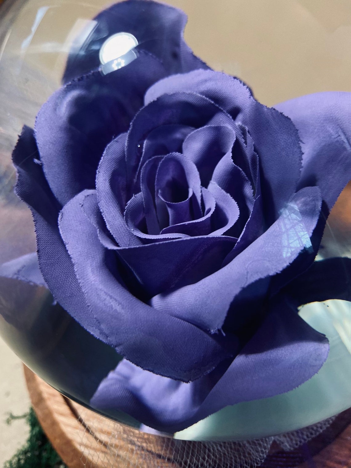 Forever Rose dans Water Globe Rose Globe Colored Rose Etsy