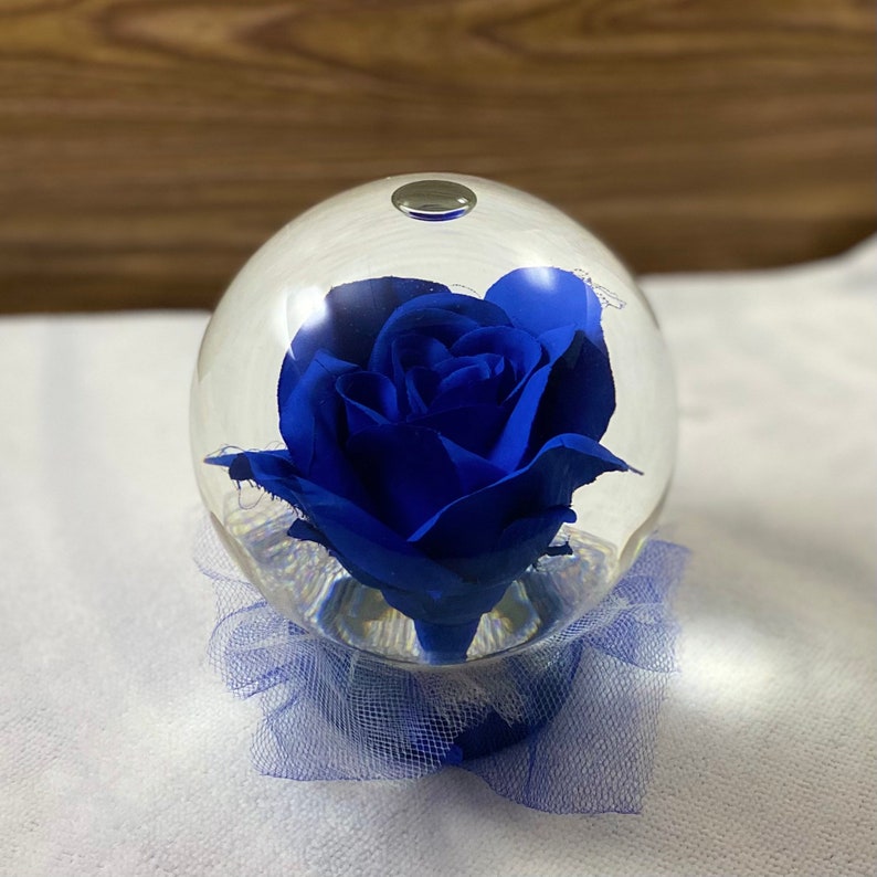 Forever Rose in Water Globe, Rose Globe, Colored Rose, Forever Rose