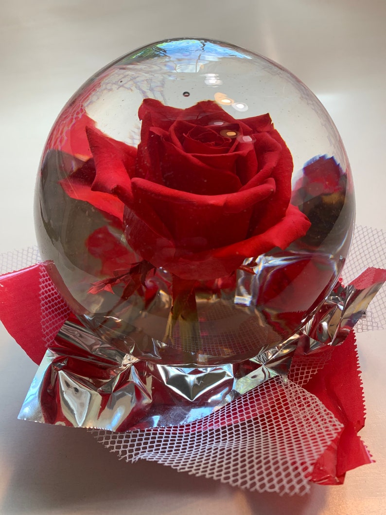 Real rose in globe preserved rose dried rose forever rose Etsy