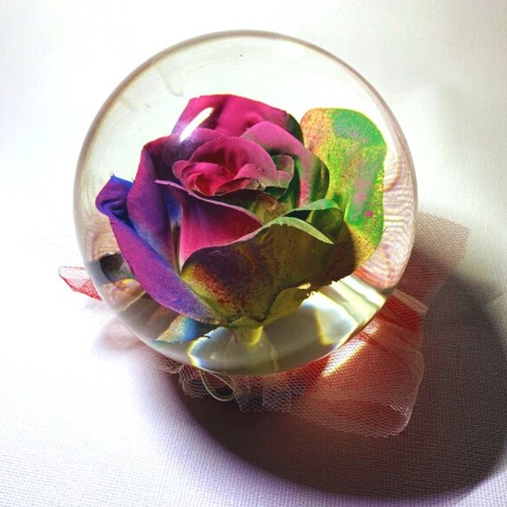 Rainbow Forever Rose in Water Globe Rose Globe Colored Rose Etsy