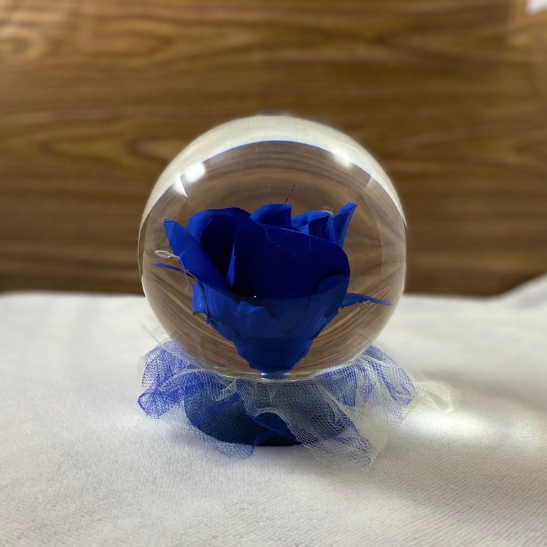 Forever Rose in Water Globe, Rose Globe, Colored Rose, Forever Rose