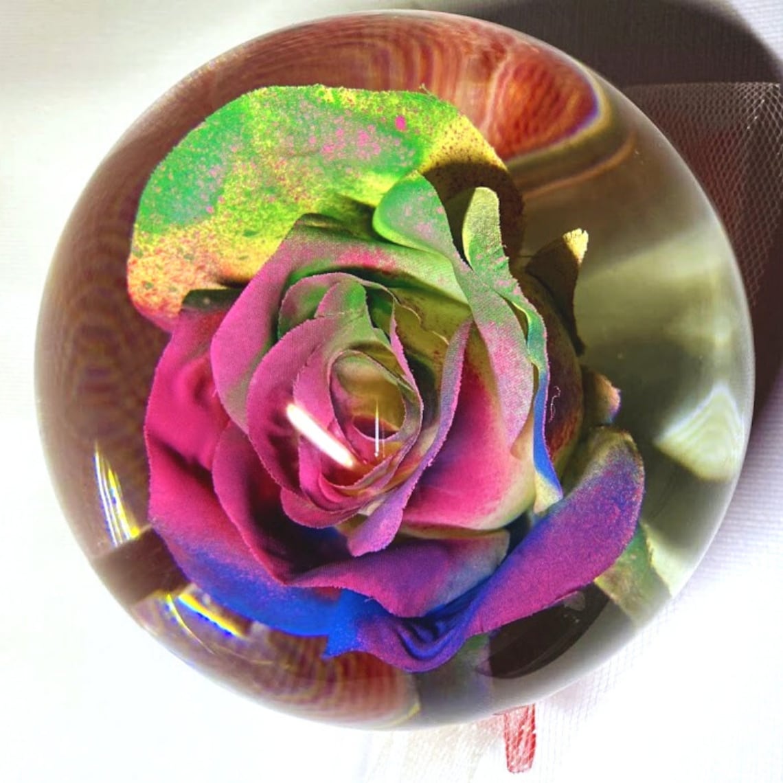 Rainbow Forever Rose in Water Globe Rose Globe Colored Rose Etsy