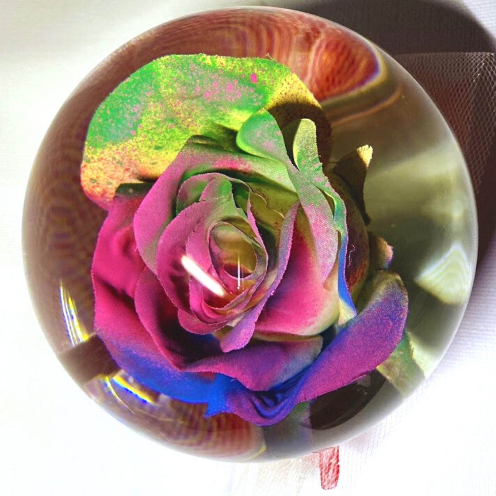 Rose Globe In Water Care at Larry Mann blog