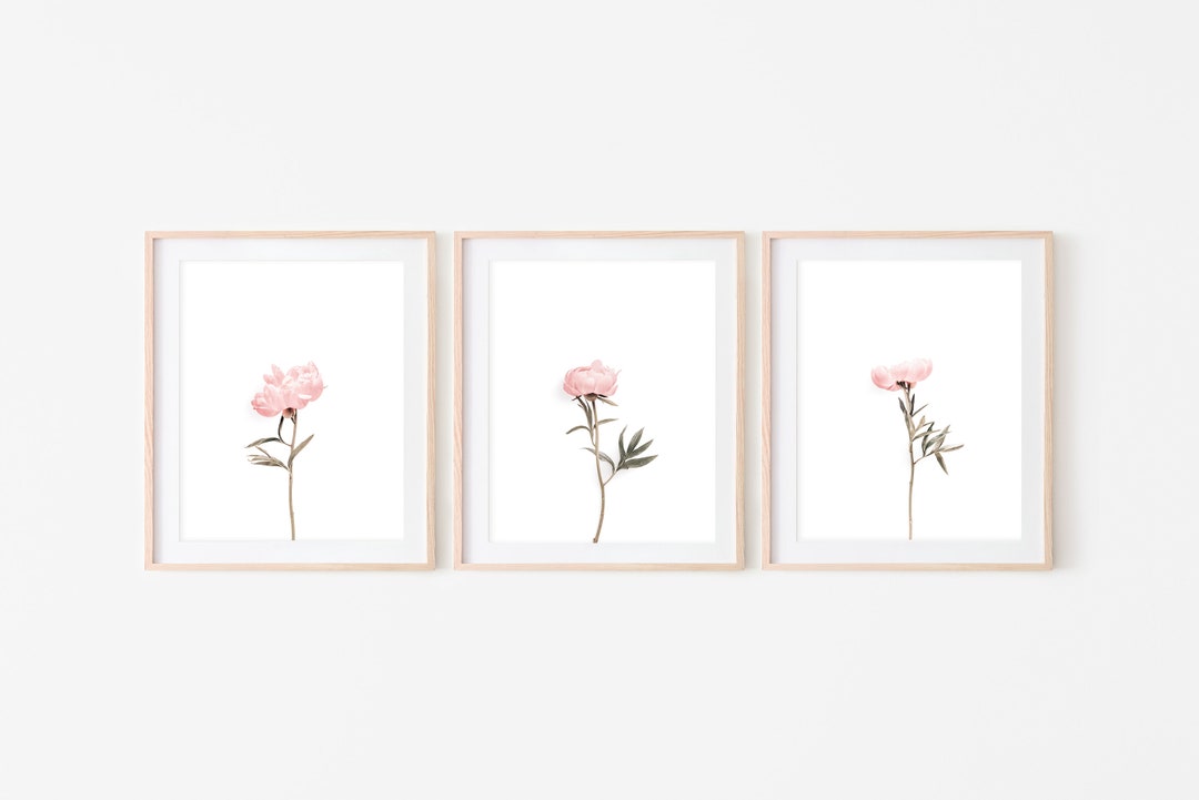 Print Set of 3 Peonies Wall Art INSTANT DOWNLOAD Digital - Etsy