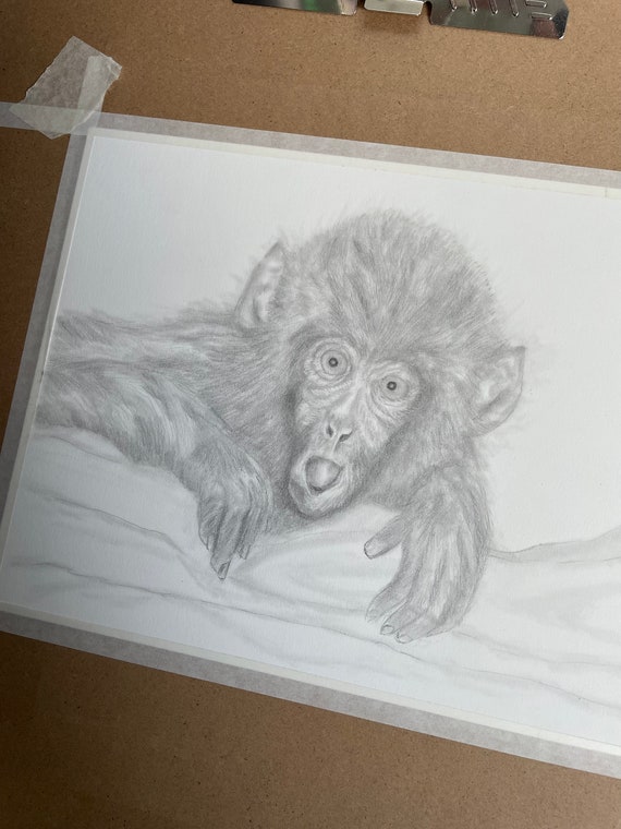 Monkey Art Pencil Drawing Cute Art Original Monkey Sketch Etsy Canada Monkey Art Pencil Drawing Cute Art Original Monkey Sketch Etsy Canada