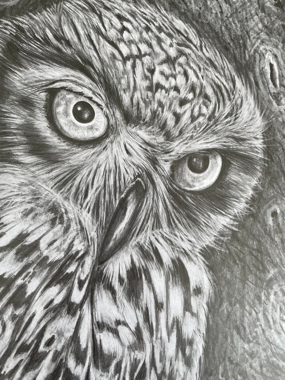 dibujo-a-l-piz-de-b-ho-dibujos-originales-arte-de-b-ho-vida