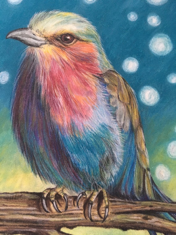 Update more than 165 drawing of bird with colour super hot