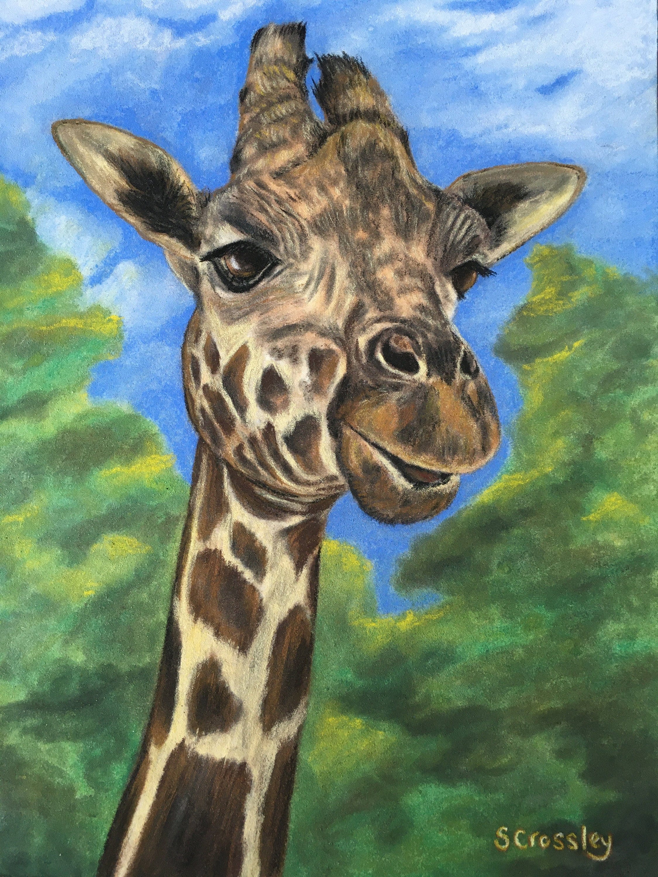 Giraffe Color Pencil Drawing