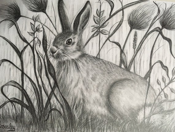 rabbit bison hybrid, pencil sketch on a journal page | Stable Diffusion