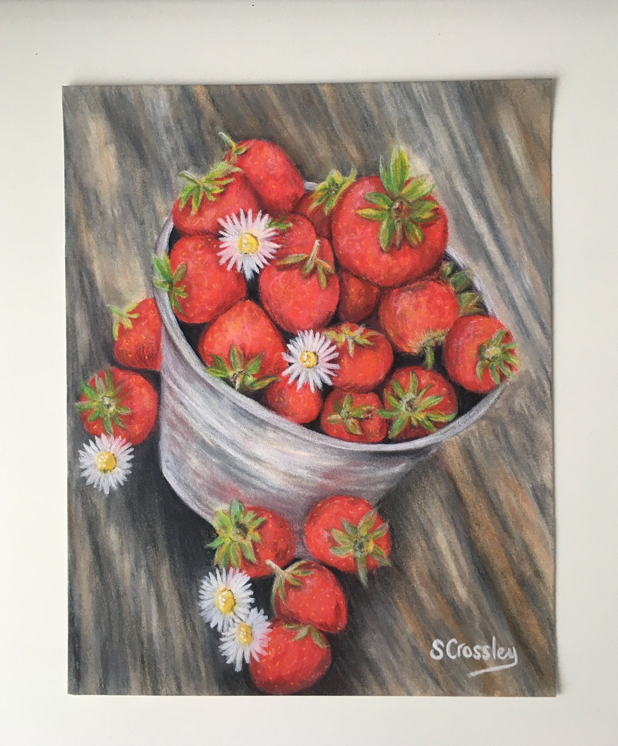  Still Life Coloured Pencil Art Original Drawing Etsy