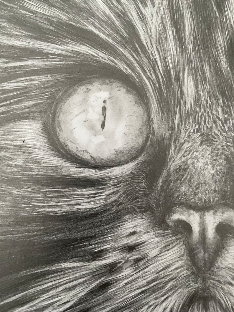 Original Pencil Drawing Cat Sketch Graphite Artwork Home Etsy