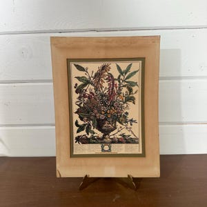 Vintage 12 Months of Flowers Robert Furber “January” Cardboard Print