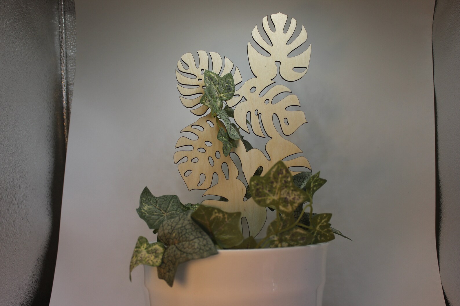 Monstera Swiss Cheese Plant Potted Plant Trellis 3 Sizes Etsy