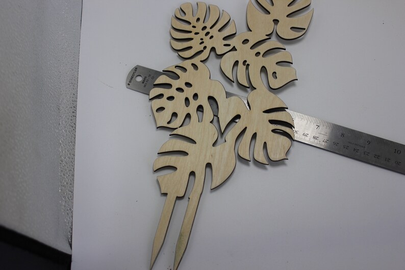 Monstera Swiss Cheese Plant Potted Plant Trellis 3 Sizes Etsy