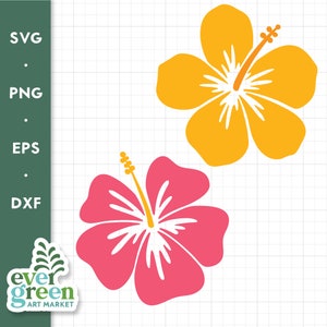 Ibisco in formato SVG, fiore hawaiano in formato SVG, fiore di ibisco in formato SVG, fiore in formato SVG, fiore tropicale in formato SVG, fiore Hawaii in formato SVG, floreale in formato SVG, fiore dell'isola, png