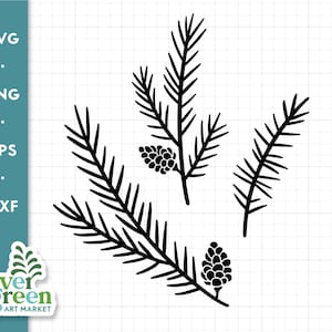 Ramo di pino svg, aghi di pino svg, pigna svg, albero di pino svg, ramo di abete svg, rametto sempreverde svg, svg semplice, clip art, file tagliato