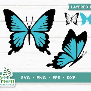 Papillon SVG, svg papillon en couches, simple papillon svg, silhouette de papillon, insecte svg, svg bug, fichier en couches