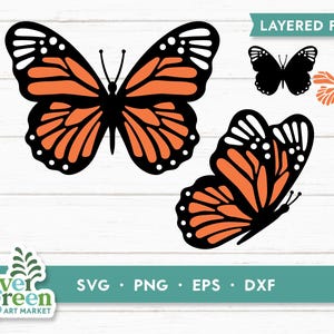 Butterfly SVG, Monarch butterfly svg, monarch svg, simple butterfly svg, insect svg, bug svg, layered file