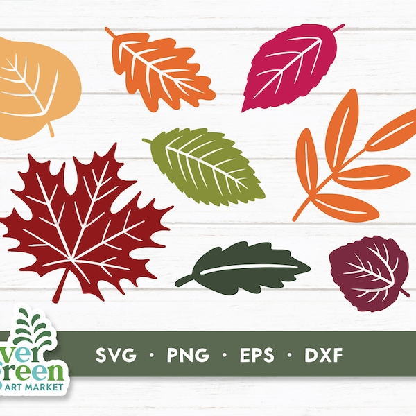 Fall leaves svg, fall leaf bundle, fall leaf shapes, autumn leaves svg, printable leaves, cut files, leaf garland, clipart, thanksgiving svg