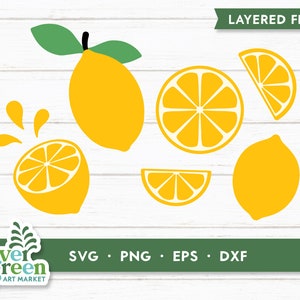 Paquet de citron svg, tranche de citron en couches, limonade fraîchement pressée, svg d’agrumes d’été dessiné à la main pour fichier coupé, Silhouette