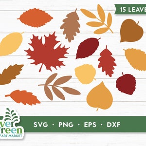 Herbst Blätter svg, Herbst Blatt Bündel, Herbst Blatt Formen, Blatt Girlande, Herbst Blätter svg, einfache Blätter, druckbare Blätter, geschnittene Dateien, Clipart