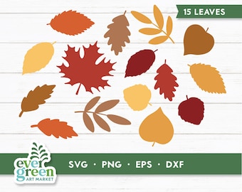 May include: A set of 15 autumn leaves in various shapes and colors, including red, orange, yellow, and brown. The leaves are arranged on a white woodgrain background. The text "15 LEAVES" is displayed in the top right corner of the image.