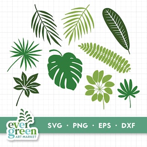 Tropical leaves svg, monstera leaf svg, tropical leaf bundle, tropical party decor, palm leaf svg, fern leaf svg, leaf clipart, PNG, DXF