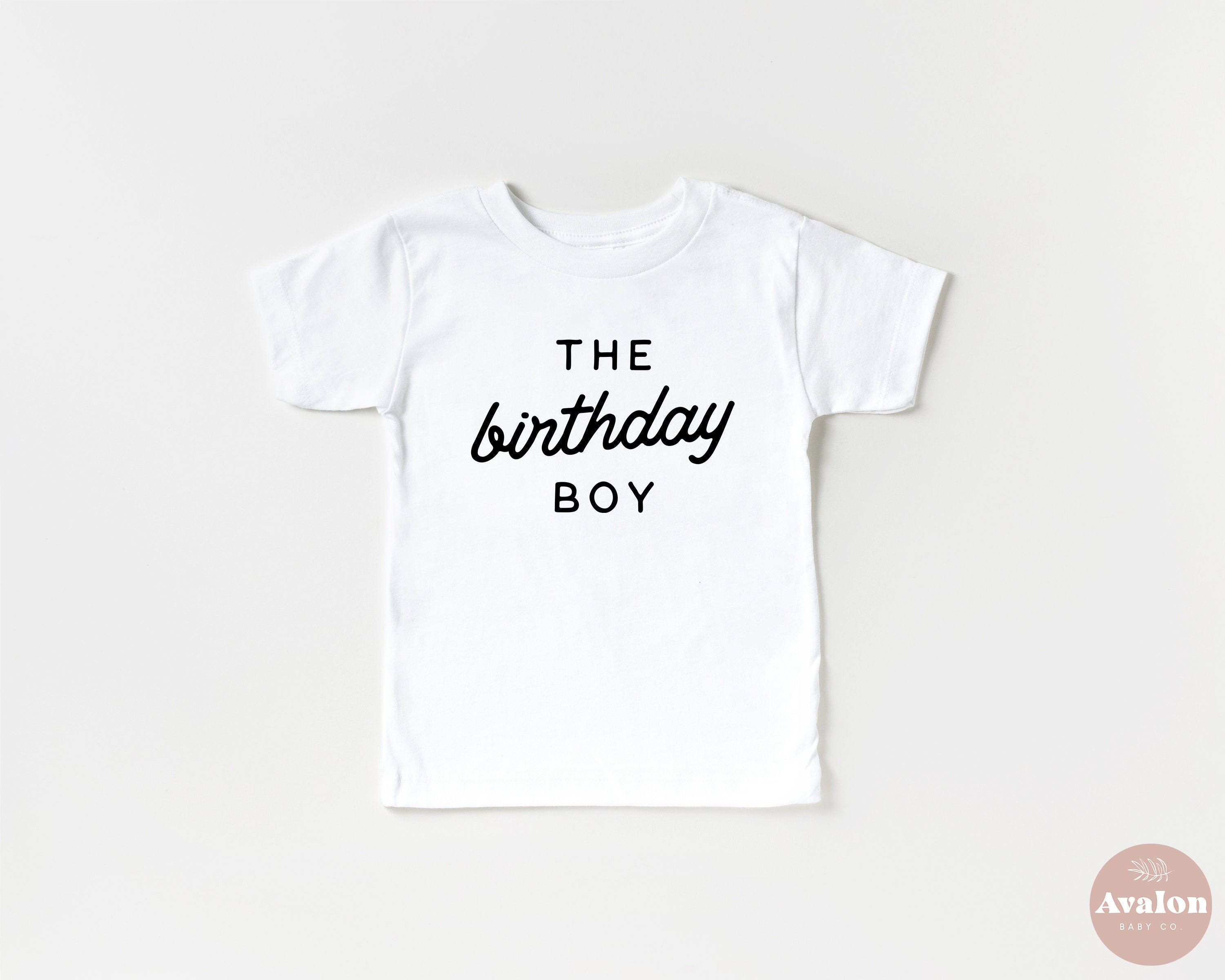 The Birthday Boy Tshirt Second Birthday Shirt Third Fourth Etsy