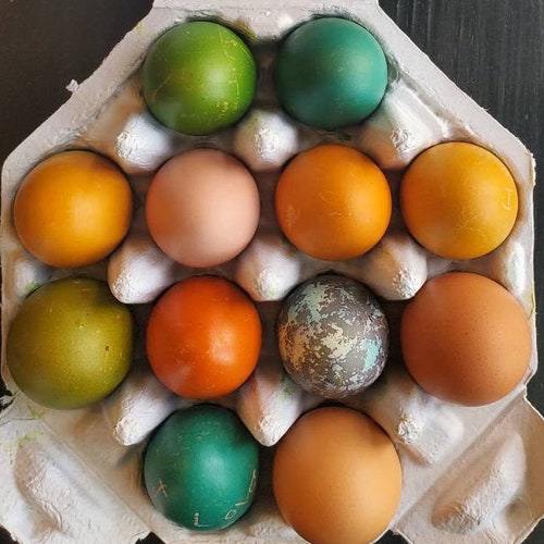 Octagon Egg Cartons Etsy