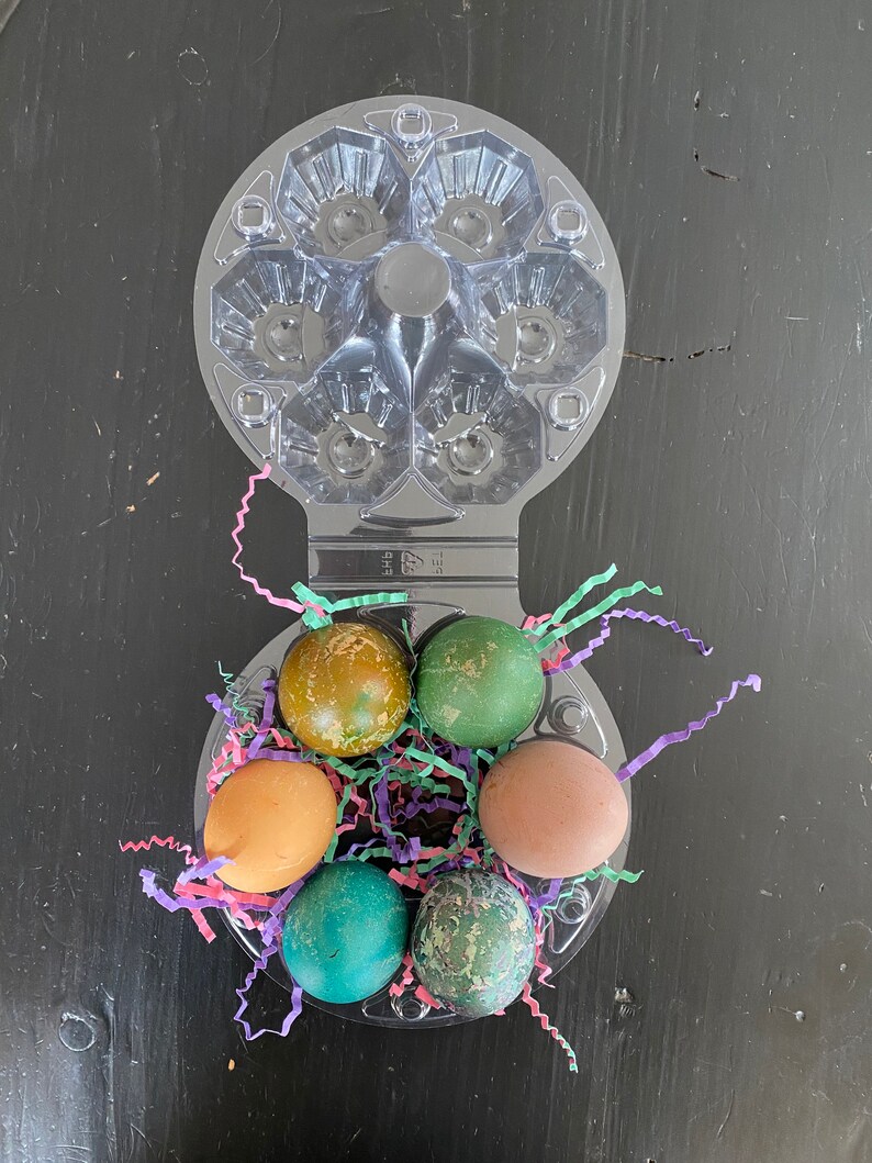 Clear Egg Cartons Set of 10 Holds Six Eggs Circular Etsy