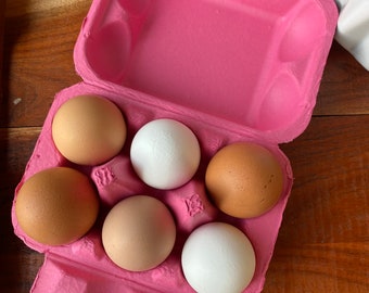 Set of 10 - Pink Egg Cartons - Holds 6 Chicken Eggs - Rectangular Blank Carton - 100% Recyclable-Colored