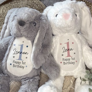 First Birthday Gift,Boys,Girls,One,1st Birthday Teddy,Bunny,Personalised,Grandson,Godson,Blue,Keepsake,New Baby,Kids,Toddler,Nursery,Pink