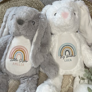 Matching Sibling Gift,Baby Girl,New Baby Gift,Big Sister,Little Brother,Boys,Girls,Newborn,Pink,Blue,New Parents,Bunny,Teddy Bear,Baby Gifts