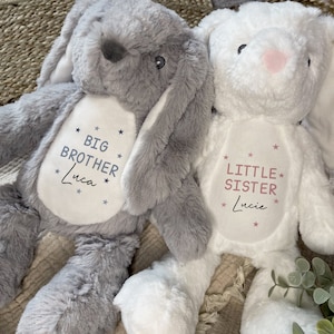 姉へのギフト、新生児、弟、新しい兄弟、ぬいぐるみ、男の子、子供、兄、妹、出産のお知らせ、女の子の赤ちゃん、新しい兄弟