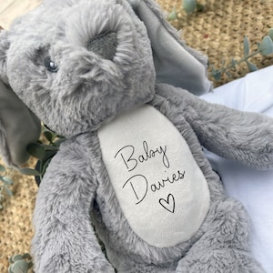 Personalised Soft Toy,New Birth Gift,Baby Shower,New Baby Gift, Baby girl Keepsake, Baby Boy,Newborn,Birth Announcement, Teddy,Bunny,Parents