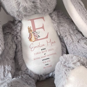 Personalised Soft Toy,New Birth Gift,Baby Shower Gift,New Baby Gift,Baby Keepsake, Baby Girl,Newborn Gift, Teddy,Bunny,New Parent Gift, PR3