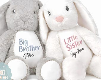 Personalisierter Bruder und Schwester Stofftier, benutzerdefinierter Name Teddy, neues Baby Geschenk, großer & kleiner Bruder Geschenk, große Schwester Geschenk, neues Geschwister