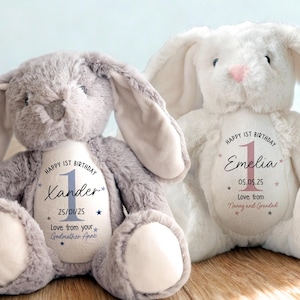 Personalised 1st Birthday Gift,First Birthday,Boys Birthday, Baby Girl, First Birthday Gift, Keepsake Babies 1st Birthday, Bunny, Teddy Bear
