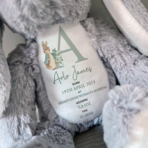 Personalised Soft Toy,New Birth Gift,Baby Shower Gift,New Baby Gift,Baby Keepsake,Baby Boy,Newborn,Bunny Toy,Teddy,New Parents,Girls, PR2