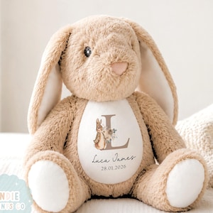Personalised New Baby Gift, Custom Name Teddy Bunny, Newborn Baby Girl Boy Gift