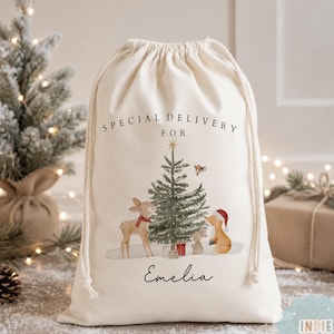 May include: A cream-colored drawstring gift bag featuring the text SPECIAL DELIVERY FOR Emelia. The design includes a watercolor illustration of a Christmas tree, a deer, a fox wearing a Santa hat, and a rabbit, all set against a snowy backdrop.