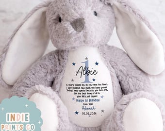 Personalised 1st Birthday Gift, First Birthday Teddy, 1st Birthday Keepsake, Personalised Soft Toy, Gift for Boy or Girl
