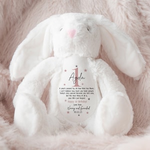 Personalised 1st Birthday Gift,First Birthday Gift,Boys,Girls,Keepsake,Granddaughter,Grandson,Baby Gift,Goddaughter,Godson,Bunny,Teddy PINK - with bag