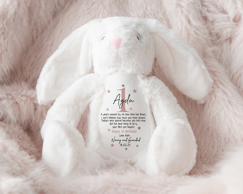 Personalised 1st Birthday Gift,First Birthday Gift,Boys,Girls,Keepsake,Granddaughter,Grandson,Baby Gift,Goddaughter,Godson,Bunny,Teddy PINK - with bag